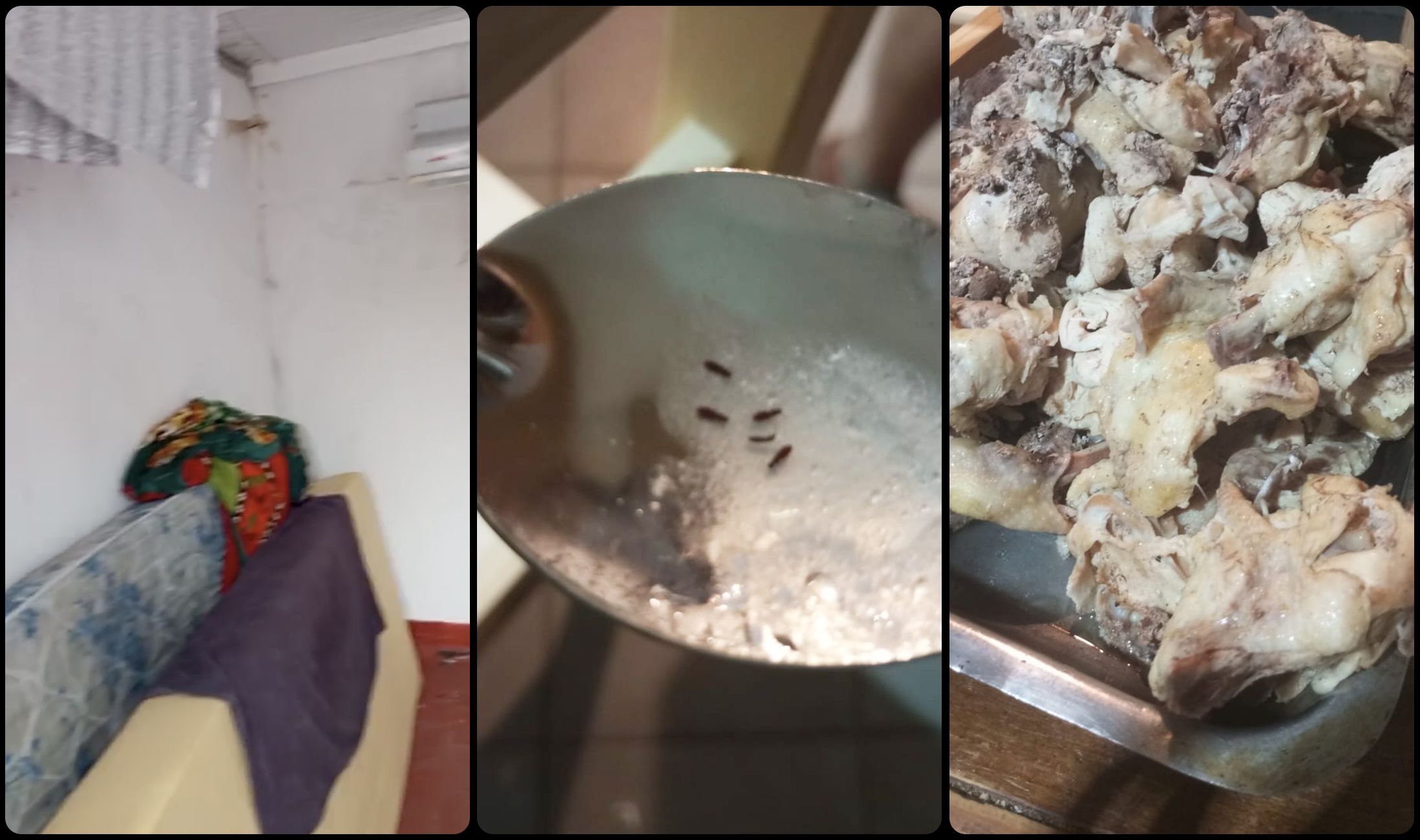 阿根廷足球青训黑幕:天才工厂背后的残酷真相